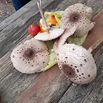 Bujtina Liqeni I Shkopetit 营地 *