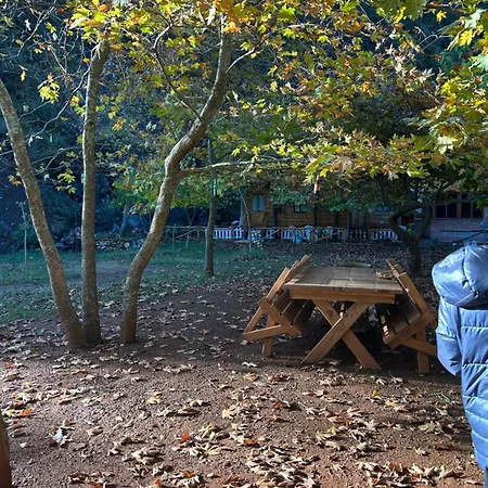 Bujtina Liqeni I Shkopetit