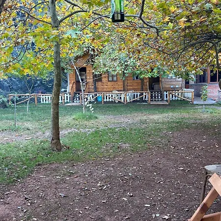 Campingplatz Bujtina Liqeni I Shkopetit *
