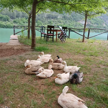 Bujtina Liqeni I Shkopetit Madhesh